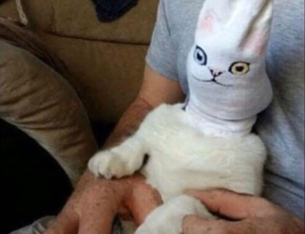 how to keep your gym pest free fntkgym