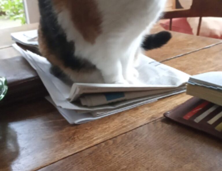 pros and cons of weight training fntkgym