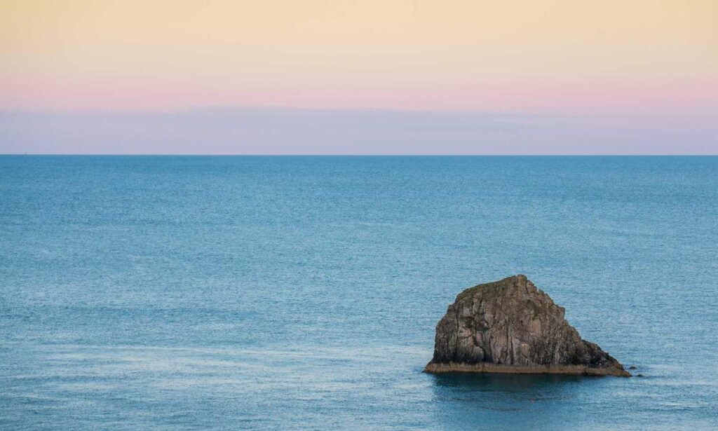 sffareboxing results