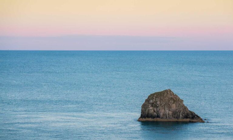 sffareboxing results