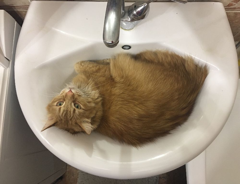 sffareboxing schedules 2022