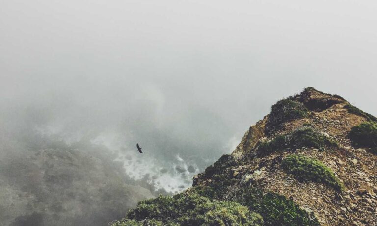 upcoming fixtures sffareboxing