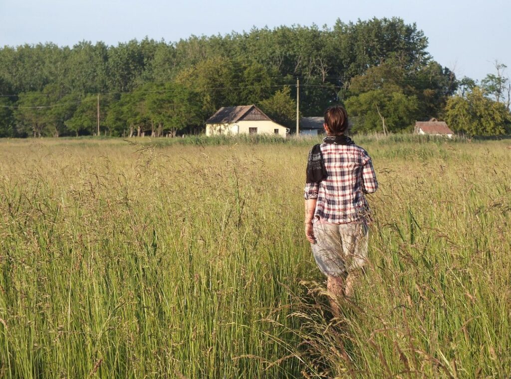 Results Yesterday Sffarebaseball