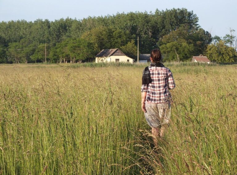 Results Yesterday Sffarebaseball