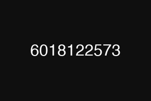 6018122573