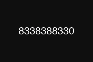 8338388330