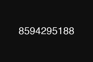 8594295188