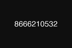 8666210532