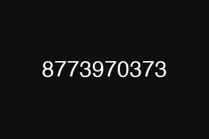 8773970373