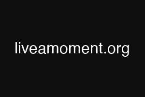 liveamoment.org