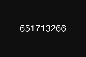 651713266