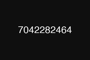 7042282464