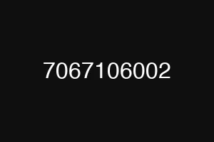 7067106002