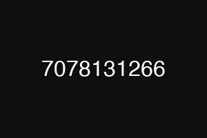 7078131266