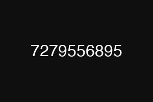7279556895