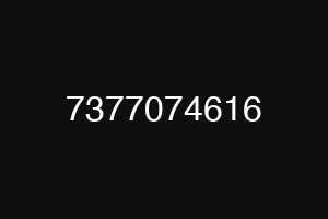 7377074616