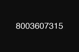 8003607315