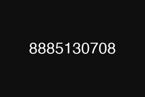 8885130708